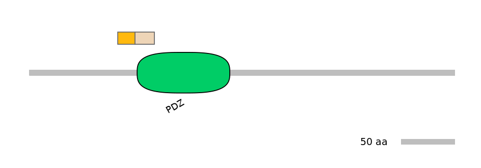 HsaINT0072111-EXC