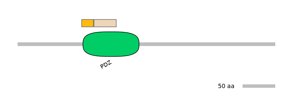 HsaINT0072112-EXC