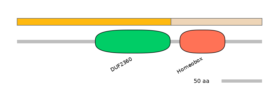 HsaINT0073144-EXC