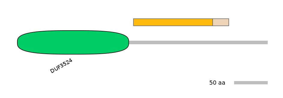 HsaINT0073158-EXC
