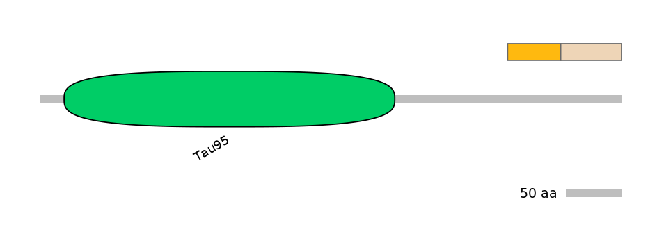 HsaINT0073483-EXC