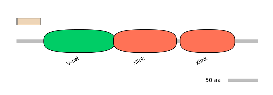 HsaINT0074187-EXC