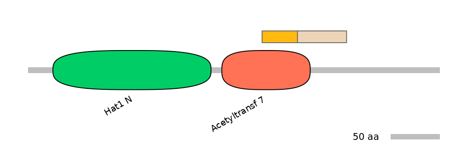 HsaINT0074239-EXC