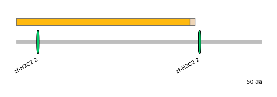 HsaINT0076325-EXC