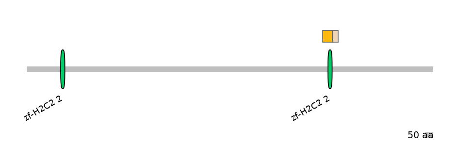 HsaINT0076327-EXC