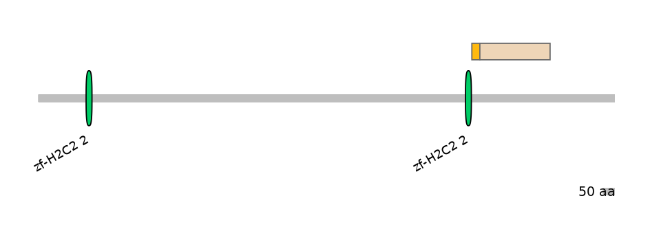 HsaINT0076328-EXC