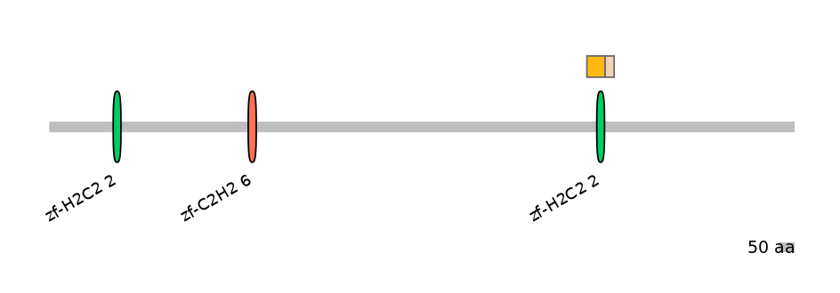 HsaINT0076336-EXC