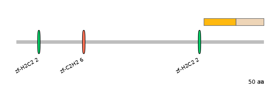 HsaINT0076338-EXC