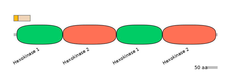 HsaINT0076348-EXC