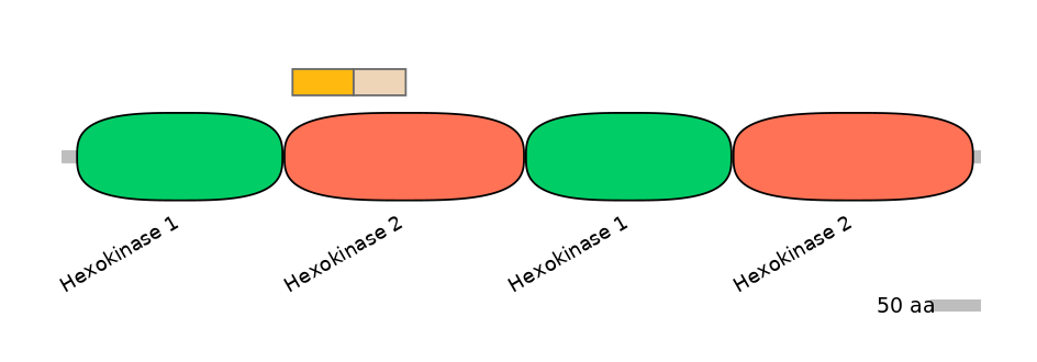 HsaINT0076385-EXC