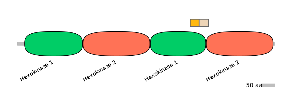 HsaINT0076393-EXC