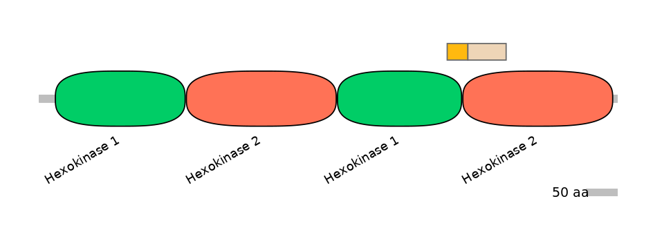 HsaINT0076394-EXC