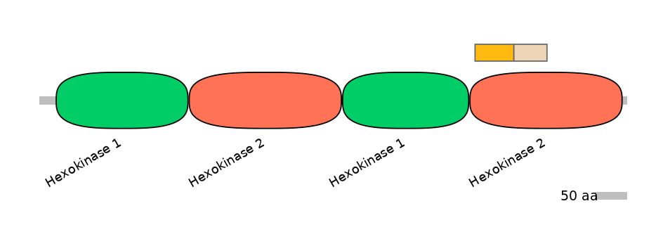 HsaINT0076395-EXC