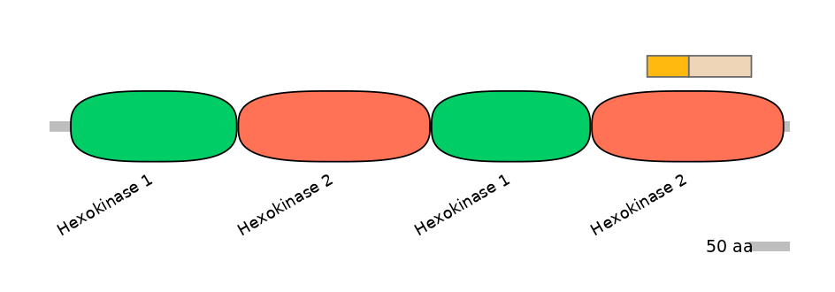 HsaINT0076396-EXC