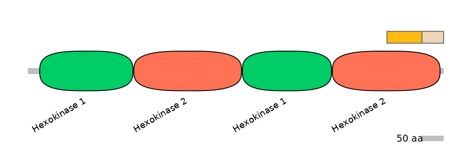 HsaINT0076397-EXC