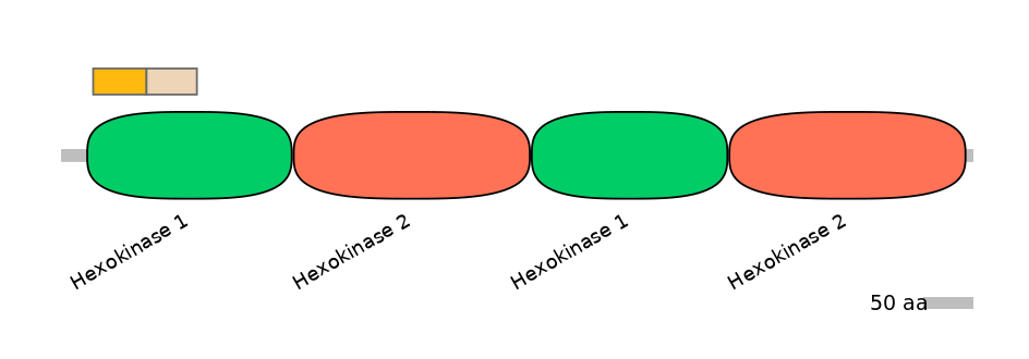 HsaINT0076399-EXC