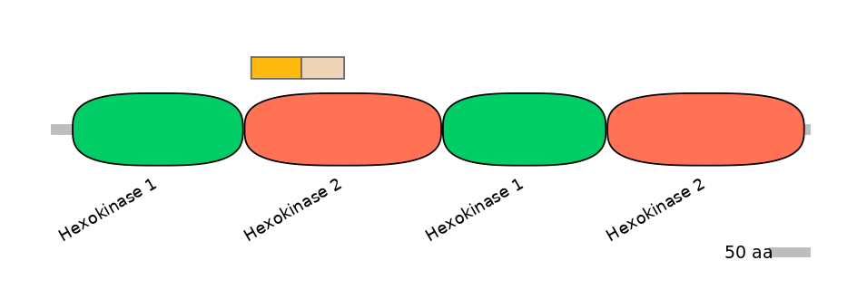 HsaINT0076404-EXC
