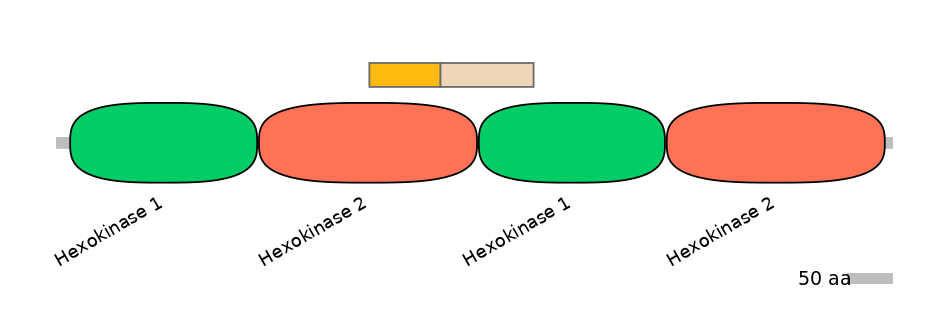 HsaINT0076422-EXC