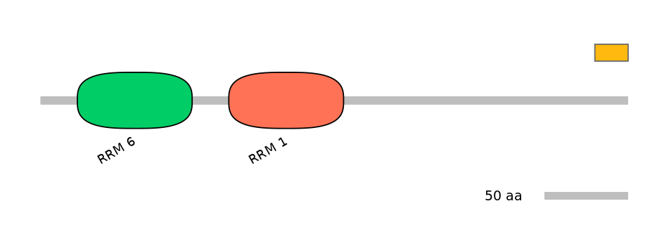 HsaINT0076957-EXC