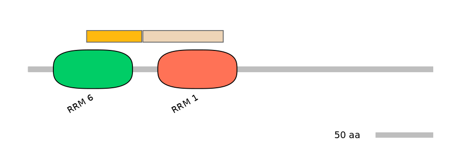 HsaINT0076959-EXC