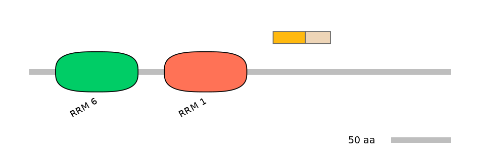 HsaINT0076962-EXC