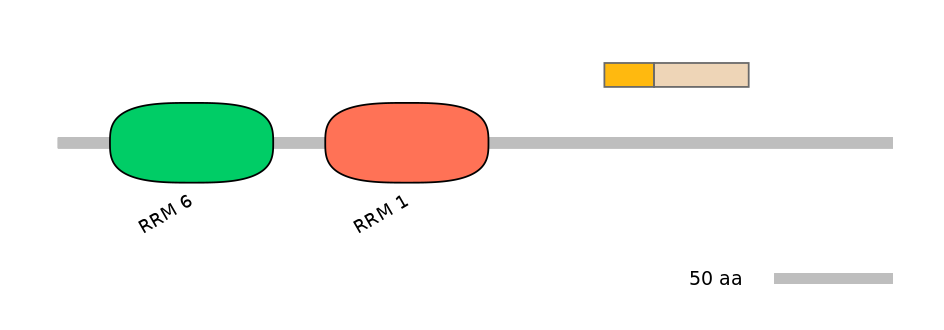 HsaINT0076963-EXC