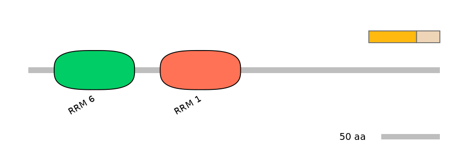 HsaINT0076965-EXC