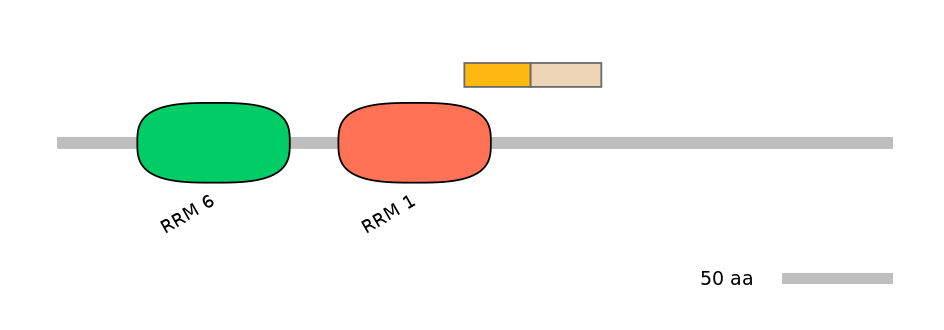 HsaINT0076973-EXC