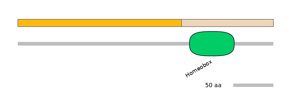 HsaINT0077283-EXC
