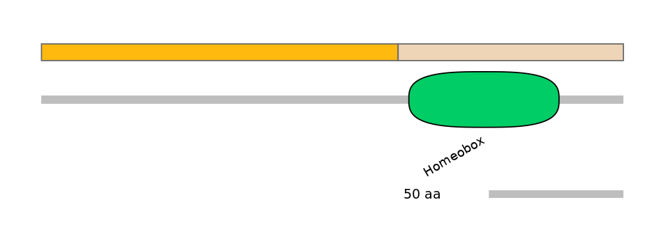 HsaINT0077299-EXC