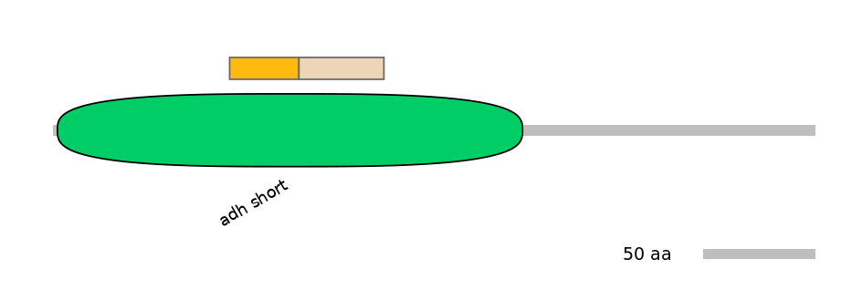 HsaINT0077707-EXC