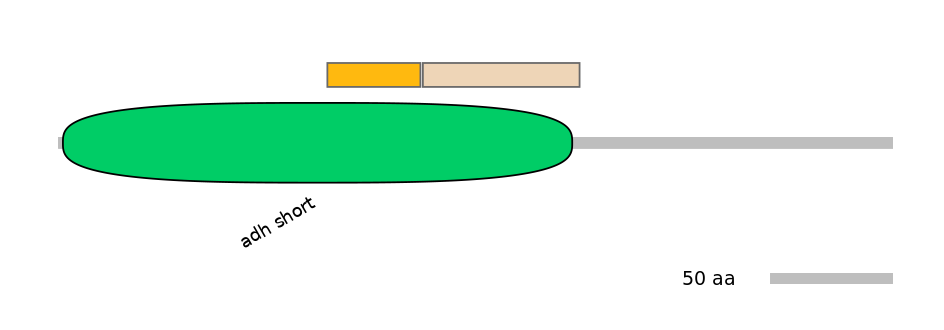 HsaINT0077708-EXC