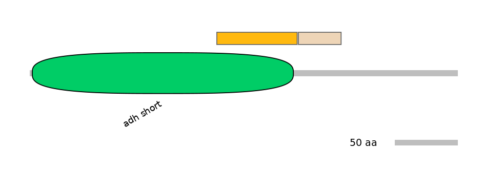 HsaINT0077709-EXC