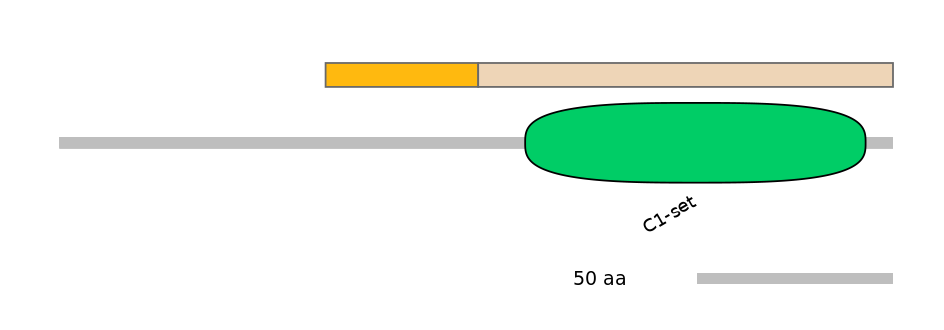 HsaINT0079514-EXC