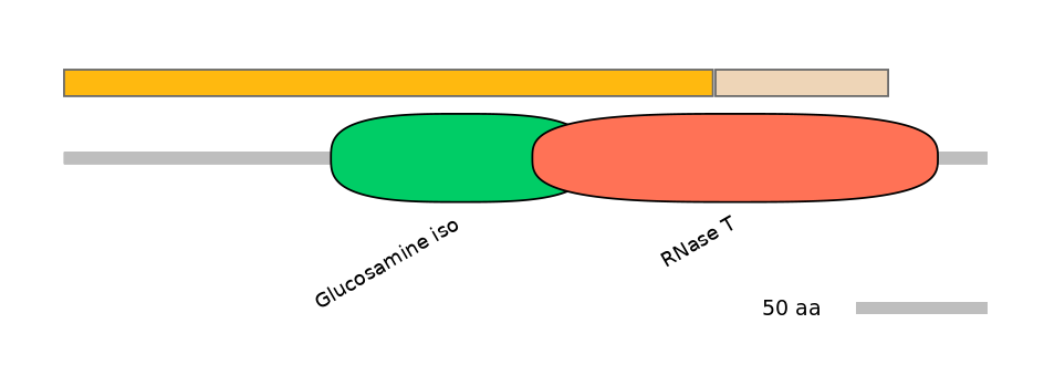 HsaINT0082136-EXC