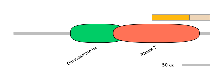 HsaINT0082137-EXC