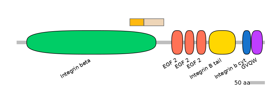 HsaINT0082788-EXC