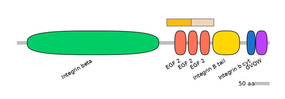 HsaINT0082790-EXC
