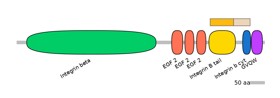 HsaINT0082792-EXC