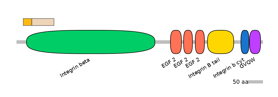 HsaINT0082795-EXC
