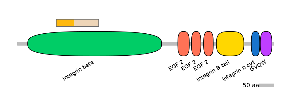 HsaINT0082797-EXC