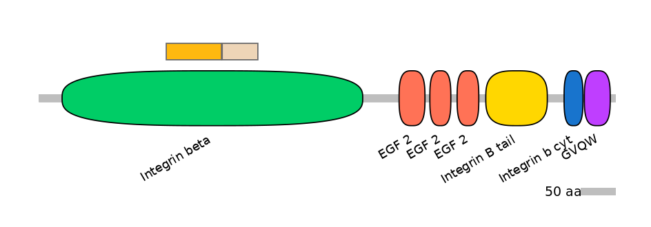 HsaINT0082798-EXC