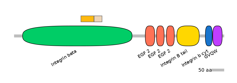 HsaINT0082799-EXC
