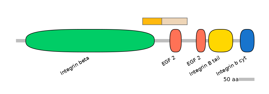 HsaINT0082831-EXC