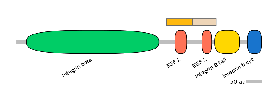 HsaINT0082832-EXC
