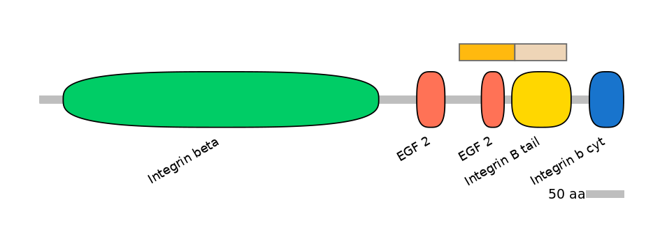 HsaINT0082833-EXC