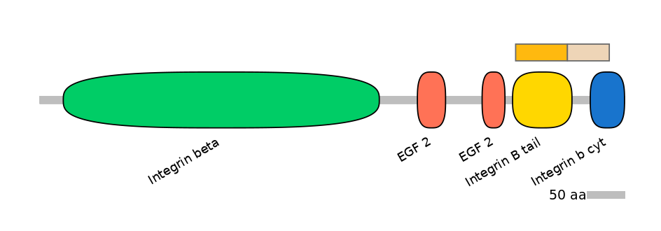 HsaINT0082834-EXC