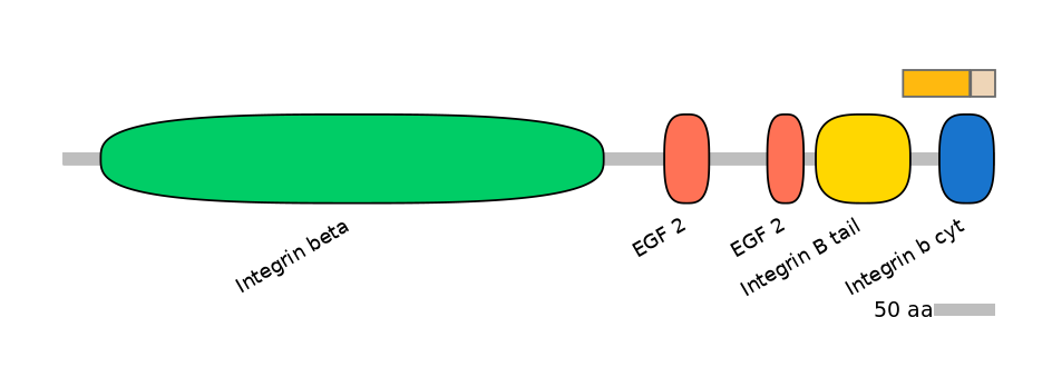 HsaINT0082835-EXC