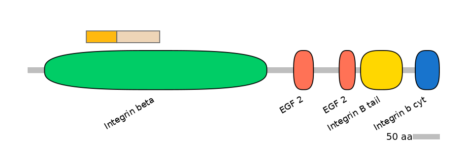 HsaINT0082839-EXC
