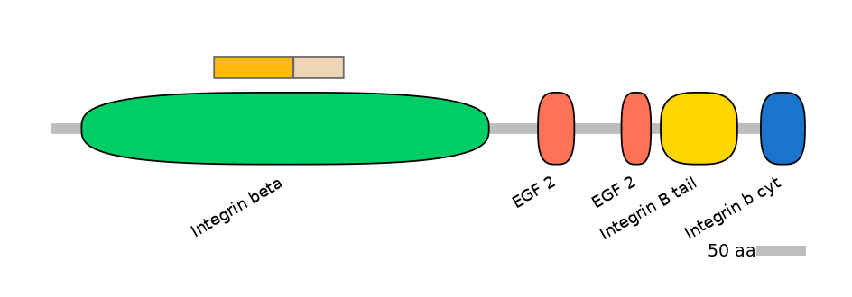 HsaINT0082840-EXC